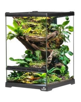 Terrarium Terrario Oasis Verde 20x20x30