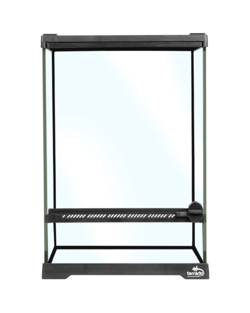 Terrarium Terrario Oasis Verde 20x20x30