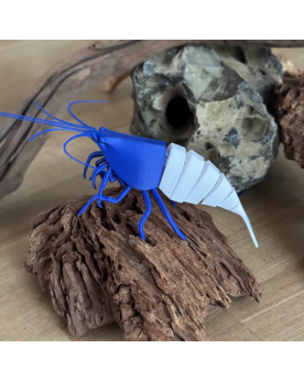 Shrimpys déco 3D, base flexible — poses variées