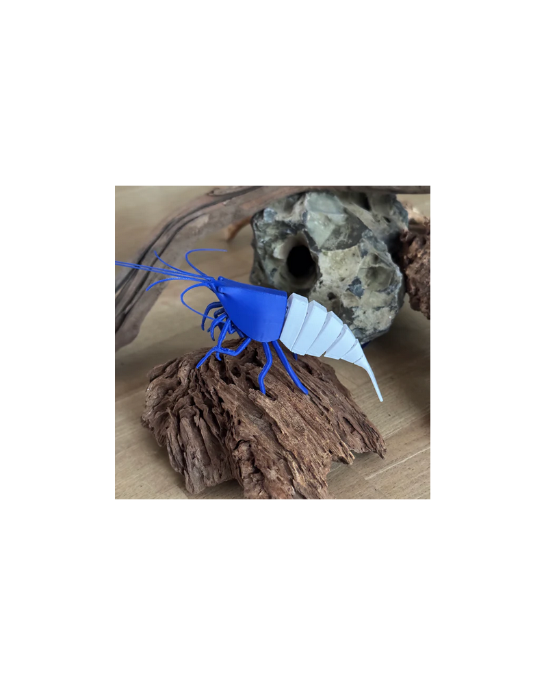 Shrimpys déco 3D, base flexible — poses variées