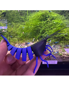 Shrimpy BLUE Shadow MOSURA - décoration 3D, base flexible