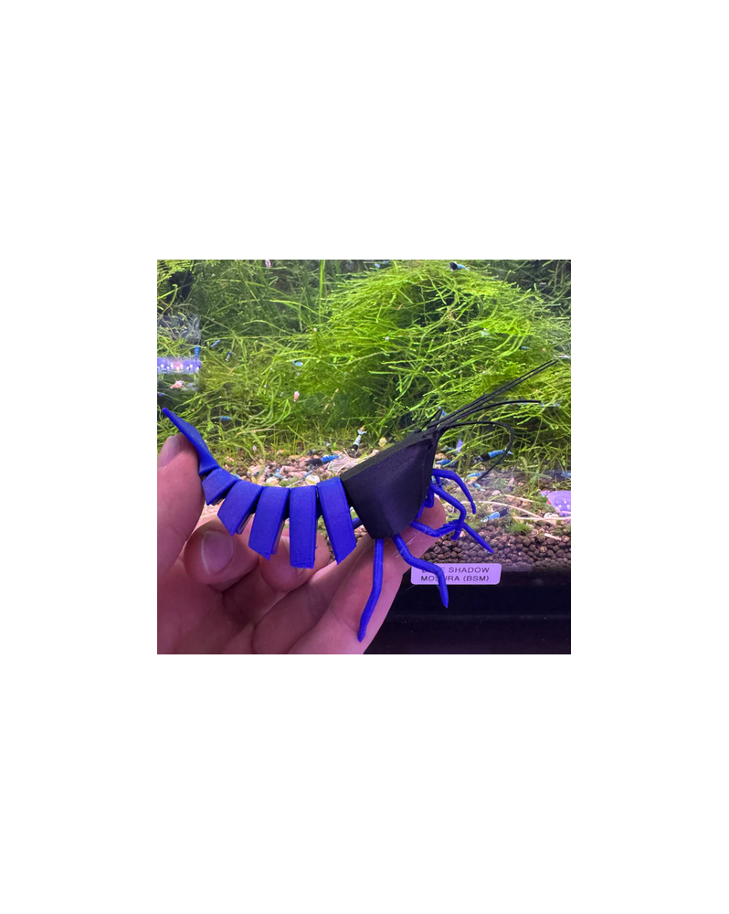 Shrimpy BLUE Shadow MOSURA - décoration 3D, base flexible