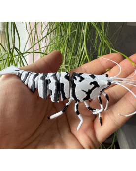 Shrimpys FANCY TIGER BLACK - Décoration 3D flexible