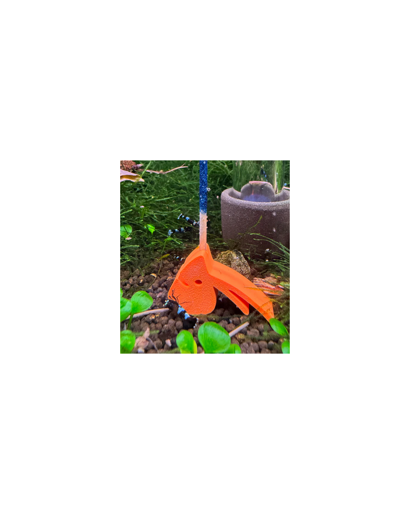 Porte Lollies crevette SHRIMPYS coloré en PETG HF