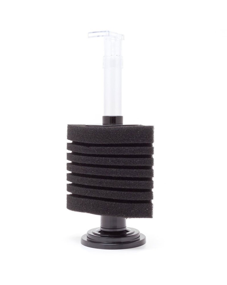 Filtre coin Aquanova pour aquarium jusqu a 200 L