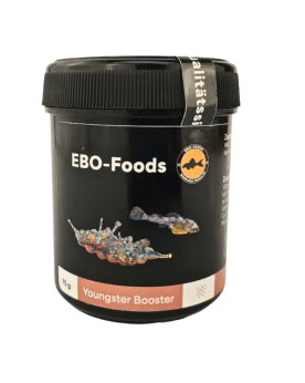 EBO Youngster Booster oeufs artemia pour alevins de fond