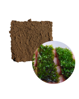 Tapis Plant Mat flexible, naturel et biodegradable