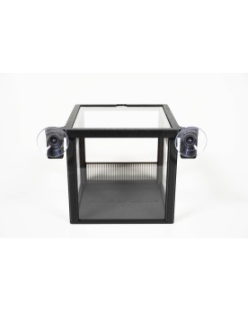Shrimp Select Box avec couvercle transparent