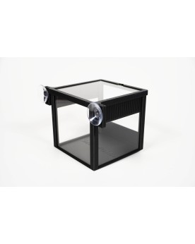 Shrimp Select Box avec couvercle transparent
