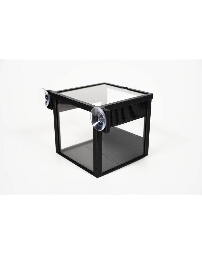 Shrimp Select Box avec couvercle transparent