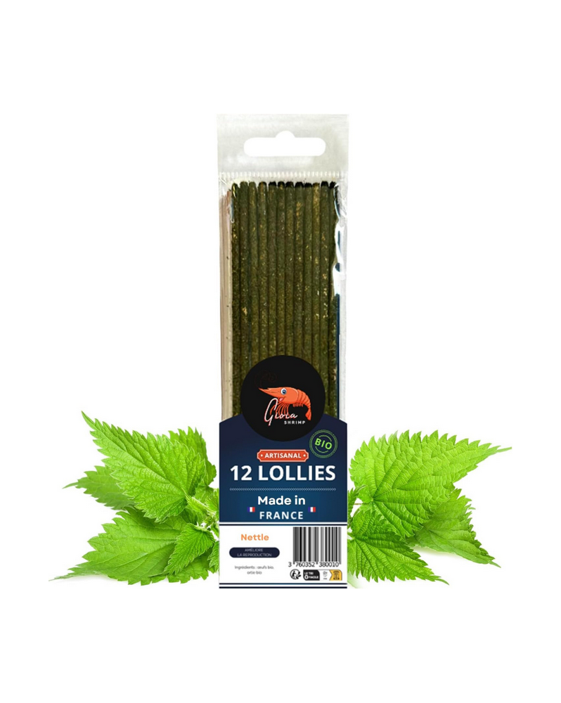 Lollies Orties BIO paquet 12 pour crevettes
