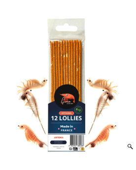Gioia Shrimp - 12 Lollies 100% Artemia