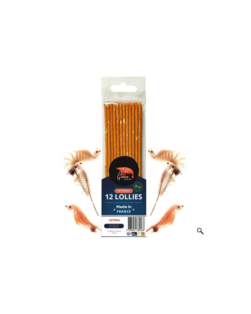 Lollies Artemia Pack 12 - naturelles et bio