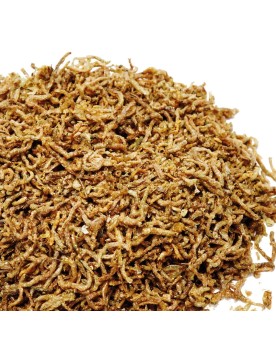 Larves de moustiques FD lyophilisees pour poissons