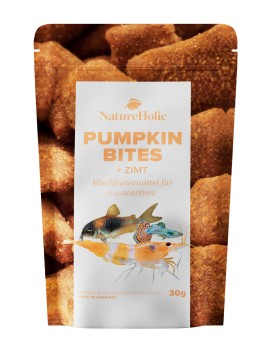 NaturHolic - Pumpkin Cinnamon Bites -  30g