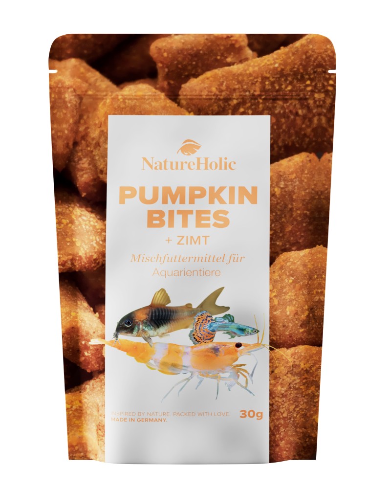 Bouchees NatureHolic Citrouille Cannelle 30g