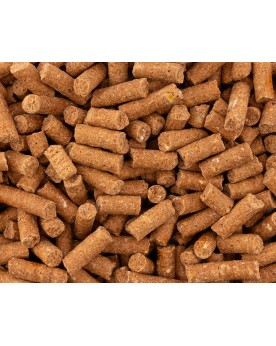 Batonnets Artemia NatureHolic pour aquarium et aquaterrarium