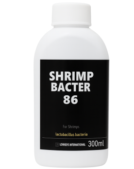Shrimp Bacter 86 - Additif microbien pour crevettes