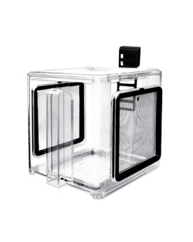 Boîte de sélection acrylique pour poissons et crevettes
