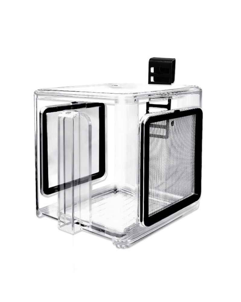 Boîte de sélection acrylique pour poissons et crevettes