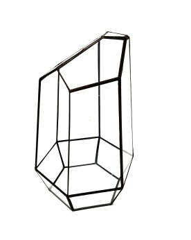 Terrarium en verre à facettes - ouverture frontale