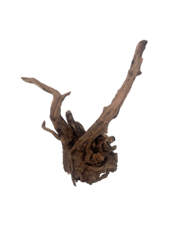 Racines Black Slim Wood - bois aquascaping brun foncé