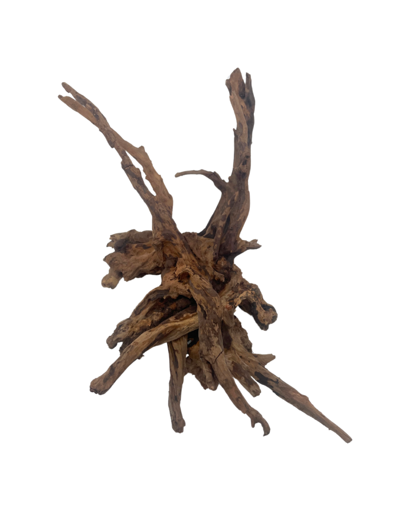 Racines Black Slim Wood - bois aquascaping brun foncé