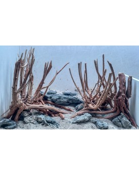 Racine Stump Wood 20-40 cm pour décor aquatique