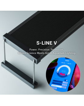 Twinstar Light V 600S - Éclairage LED 60-70 cm