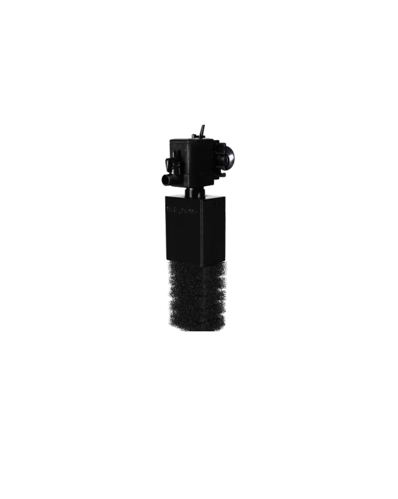 Boîtier filtration biologique pour Pat Mini