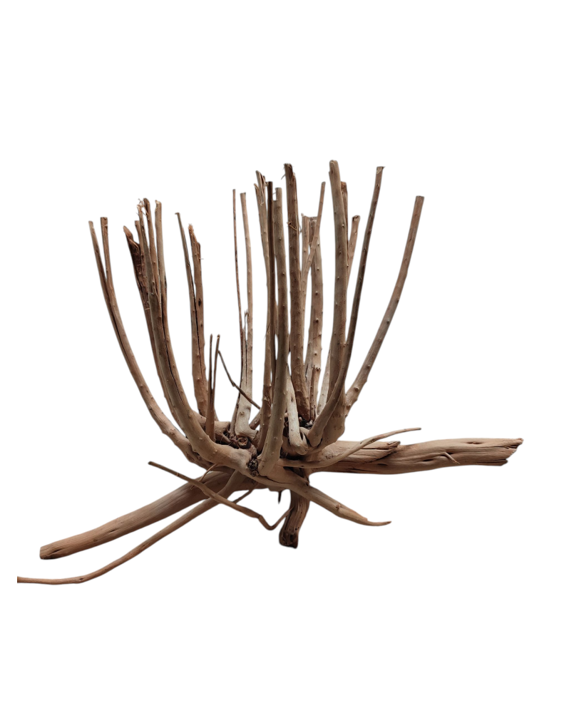 Racine Stump Wood 20-40 cm pour décor aquatique
