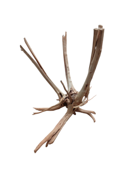Racine Stump Wood 20-40 cm pour décor aquatique