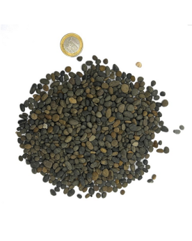 River Gravel 3-8 cm - gravier naturel pour aquascaping
