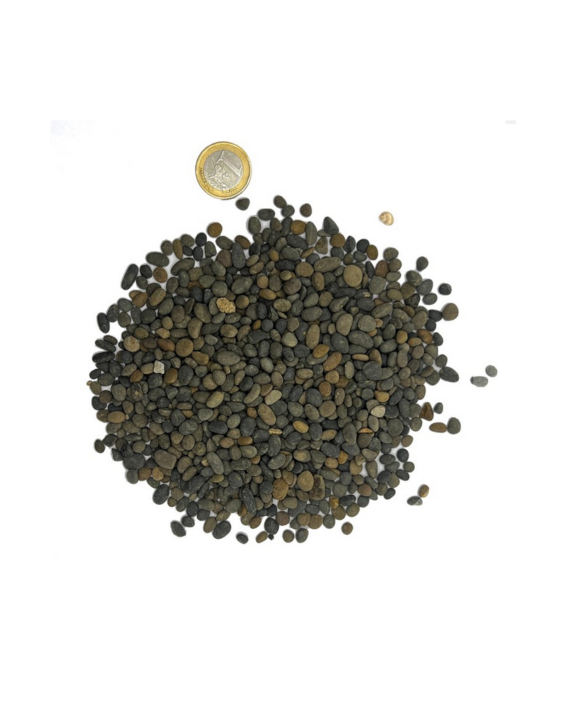 River Gravel 3-8 cm - gravier naturel pour aquascaping