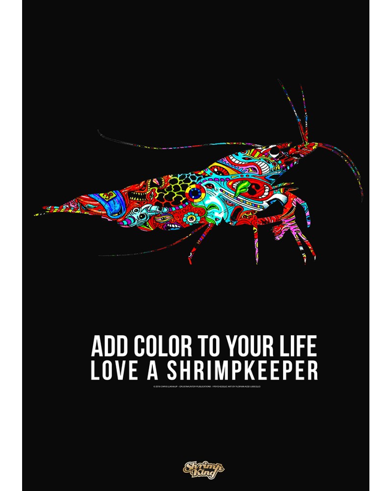 Poster A2 offert - aperçu produit
