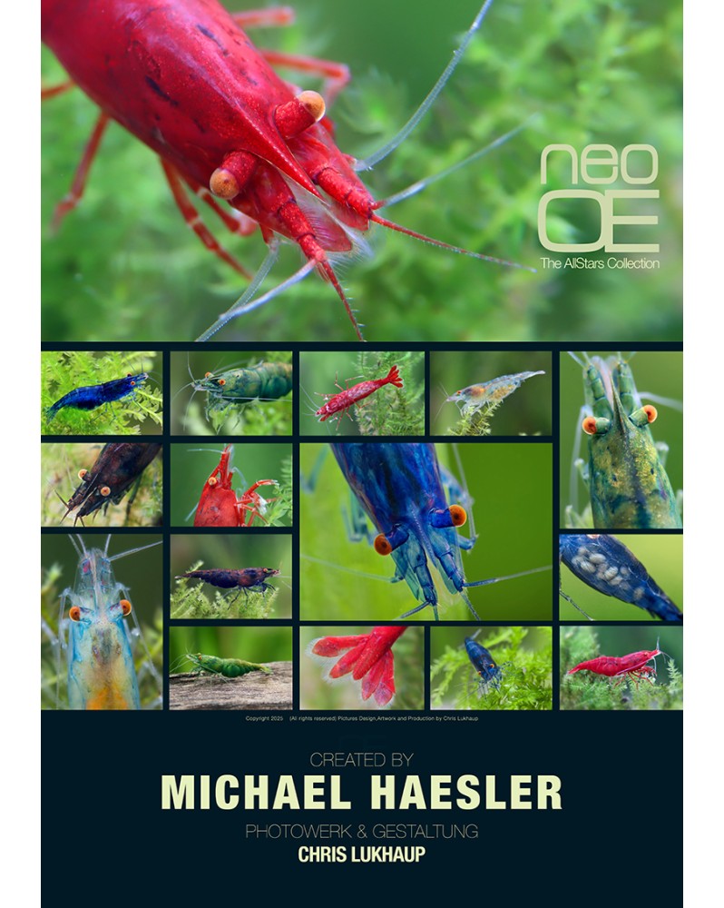 Poster A2 offert - visuel du produit
