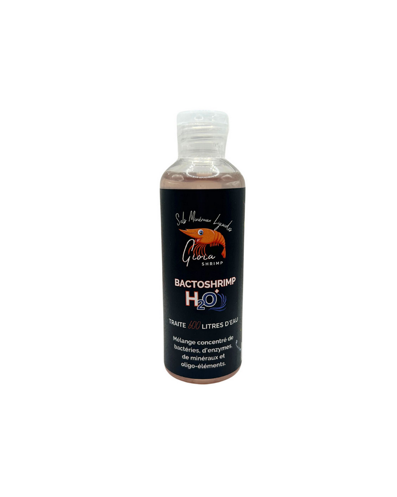 Bactoshrimp H2O+ 100 ml - Bacteries pour crevettes