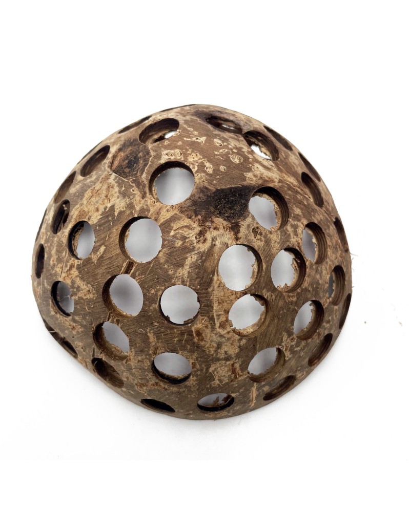 Demi noix de coco percee pour cachette aquarium