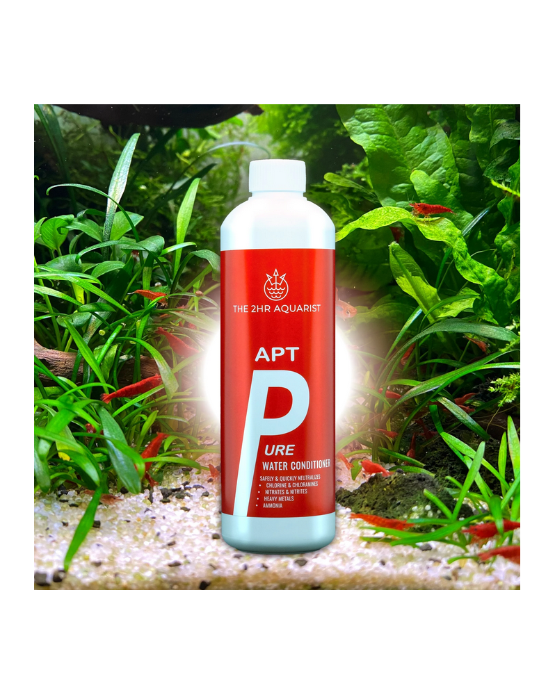 Flacon conditionneur d'eau - Aloe Vera