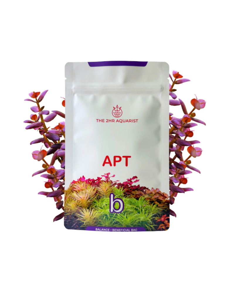 APT Balance 25g - Bactéries pour sols techniques