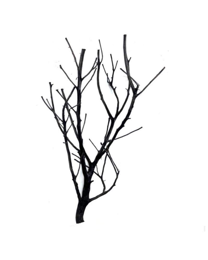 Riverest Shadow Wood racines 20 a 40 cm