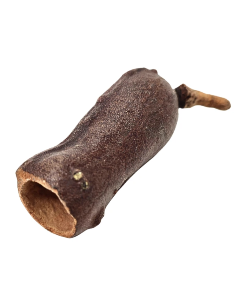Demi noix de coco percee pour aquarium cachette naturelle