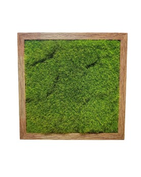 Cadre decoratif 40x40 cm mousse artificielle