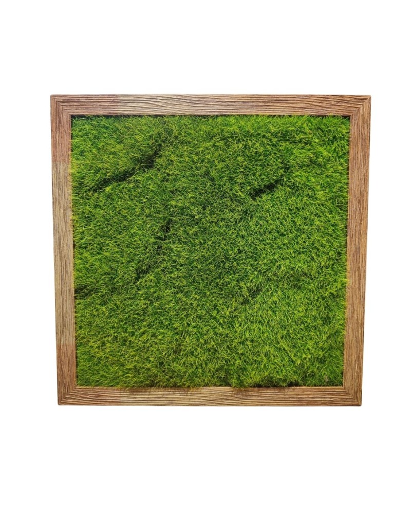Cadre decoratif 40x40 cm mousse artificielle