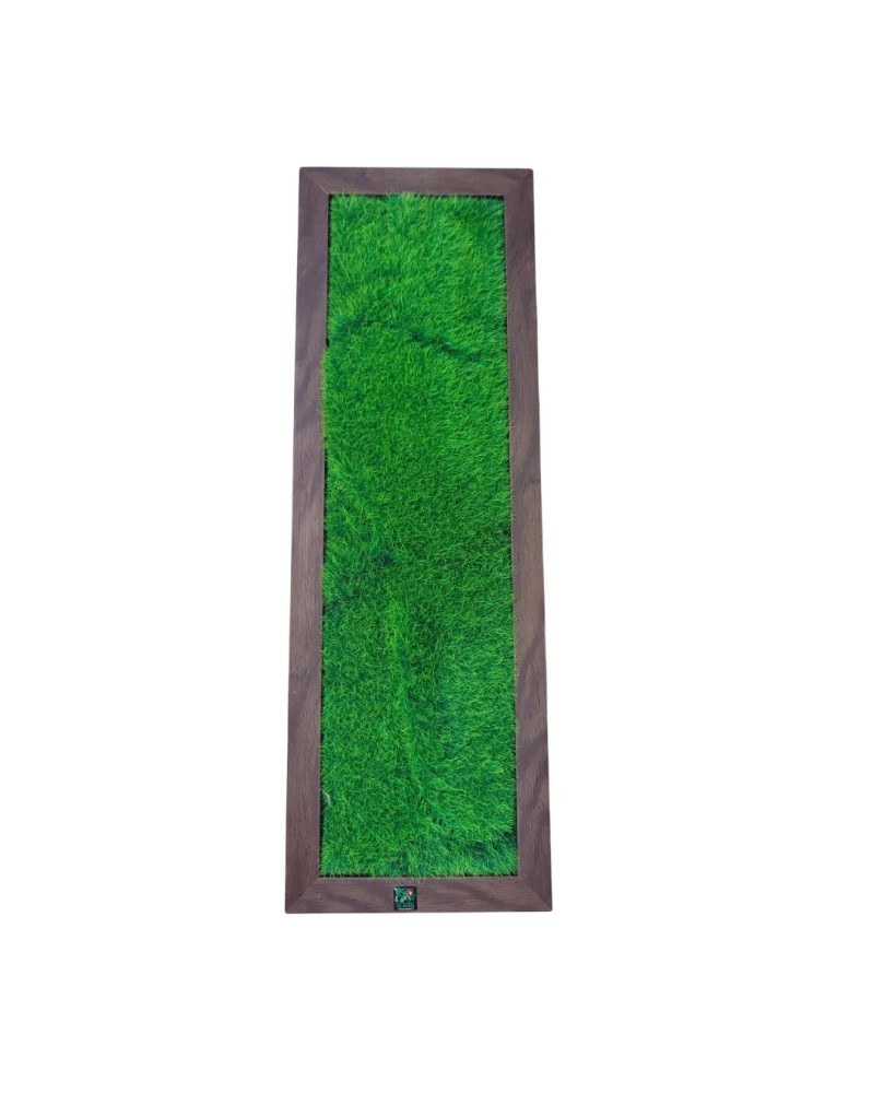 Cadre decoratif mousse artificielle 60x20 cm