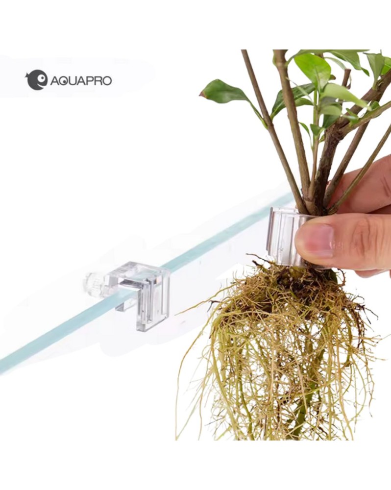 Aquapro - Hydroponic Plant Stand - Small - 6pcs