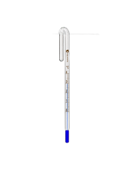 Aquapro Thermometre Hang On Back 12 cm pour vitres 12 mm
