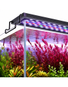 Rampe LED aquarium spectre complet sur aquarium planté plantes rouges