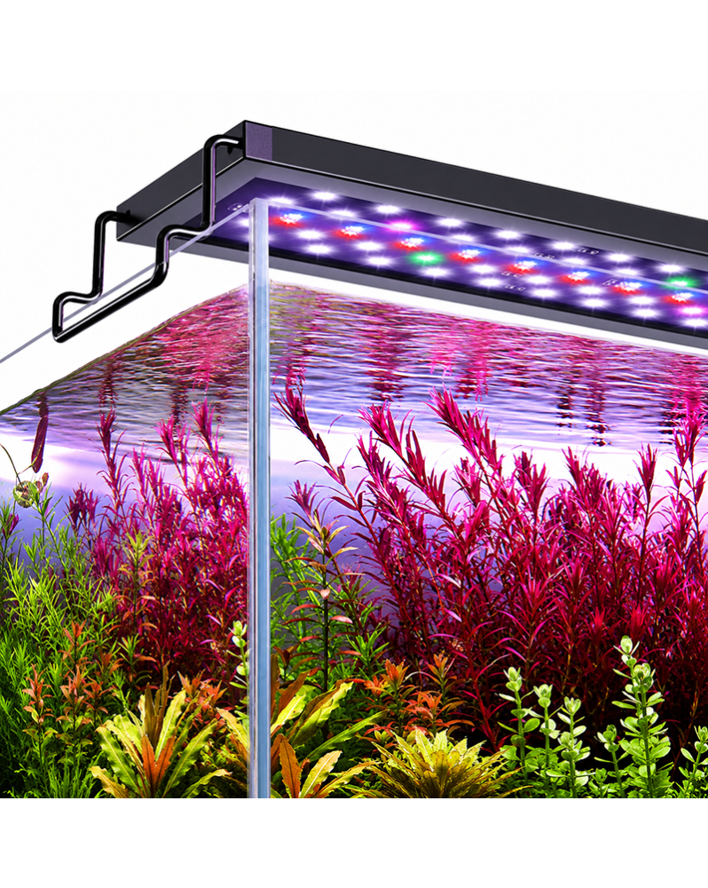 Rampe LED aquarium spectre complet sur aquarium planté plantes rouges