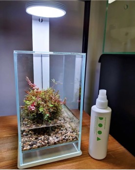Aquarium Air By Skaii 15x15x25cm en situation wabi kusa plantes émergées